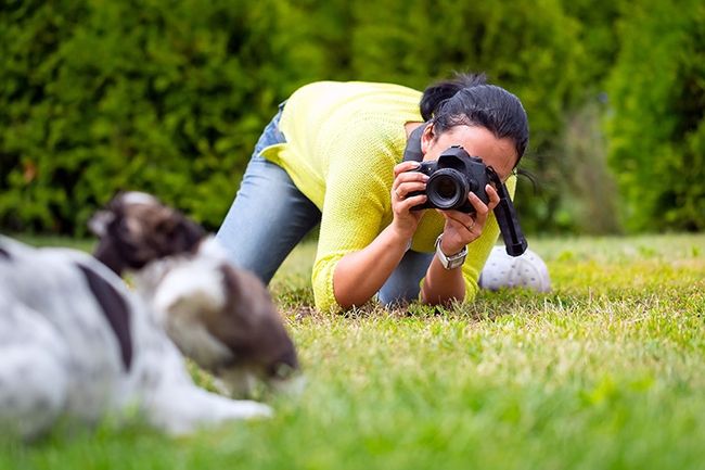 Hundefotografie