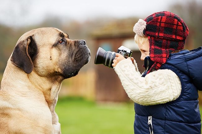 Pet photography