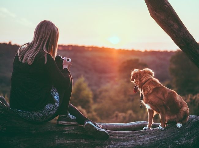 Empregos de fotografia de animais de estimação